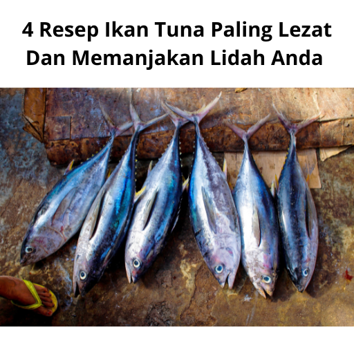 4 Resep Ikan Tuna Paling Lezat Dan Memanjakan Lidah Anda
